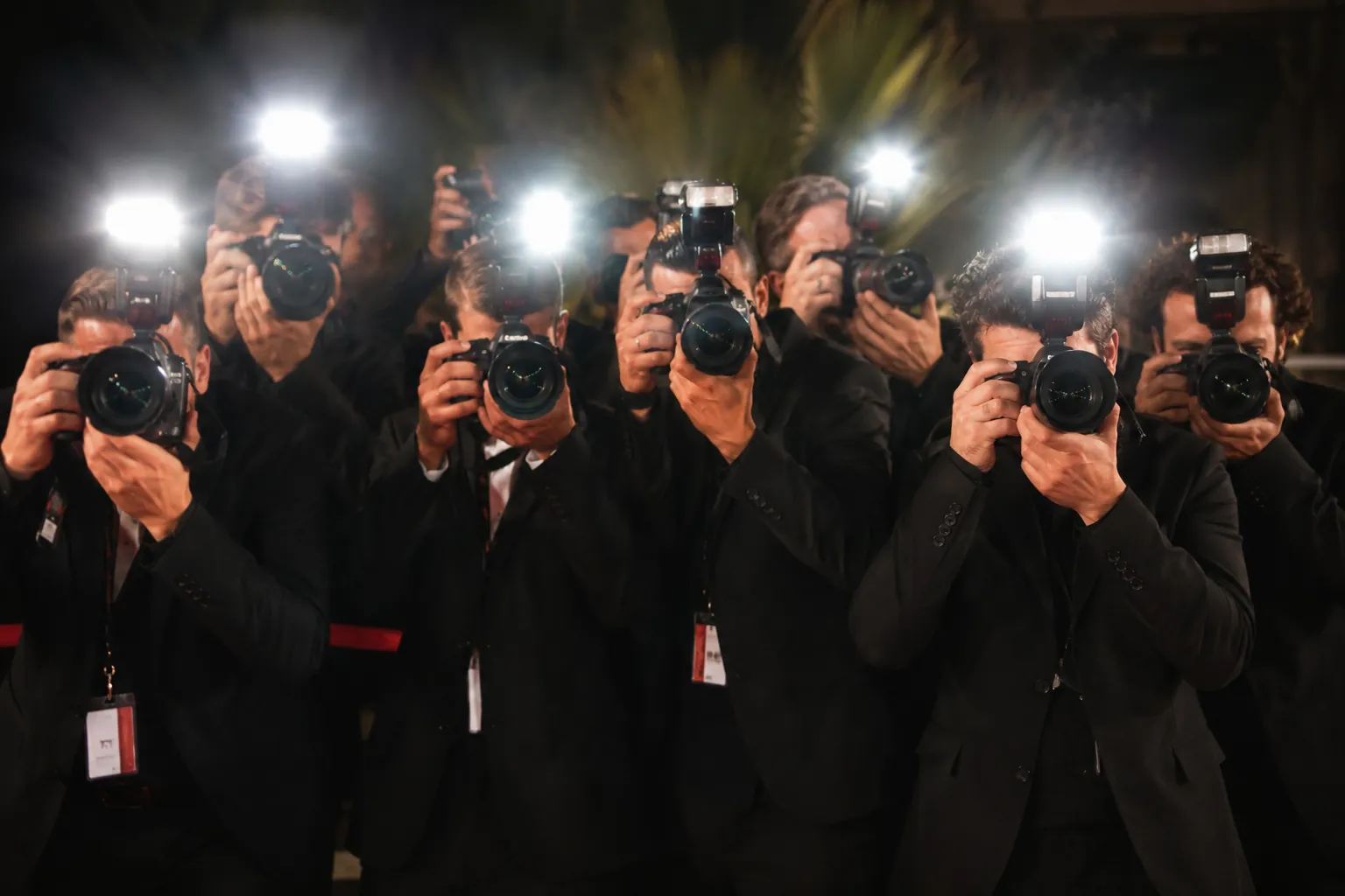 Red Carpet Experience — photo 1