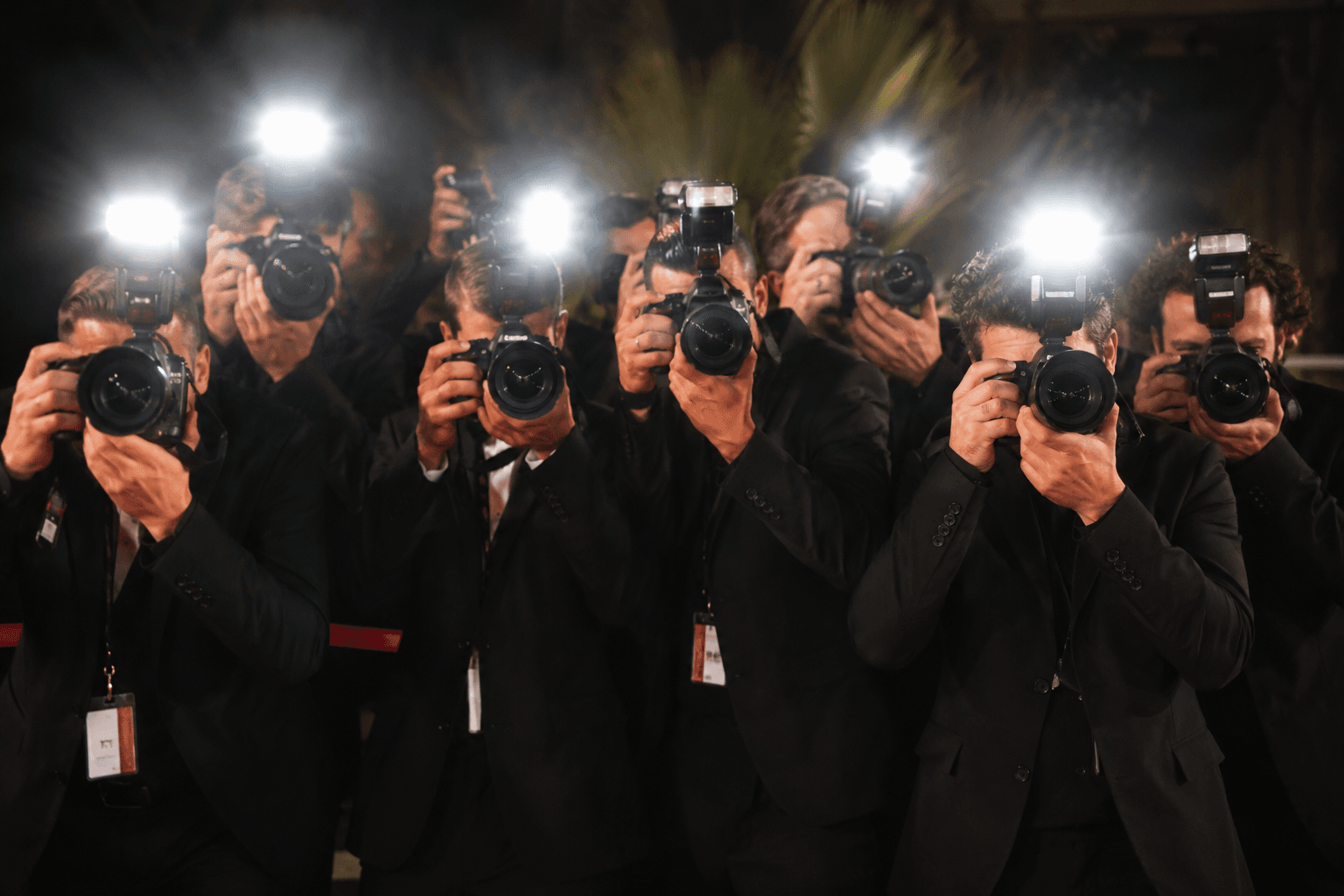 Red Carpet Experience — photo 1
